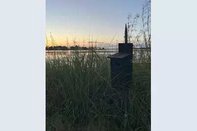 4226 Downeast Lane, Windermere, FL 34786 - Photo 16