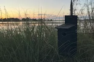 4226 Downeast Ln, Windermere, FL 34786 - Photo 16