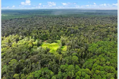Nfs 73 / Alco Road, Astor, FL 32102 - Photo 4