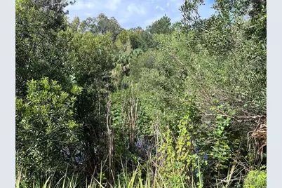 Nfs 73 / Alco Road, Astor, FL 32102 - Photo 34