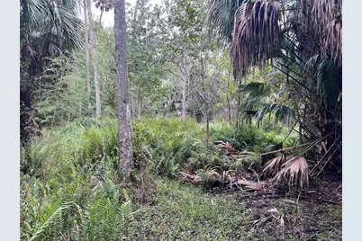 Nfs 73 / Alco Road, Astor, FL 32102 - Photo 52