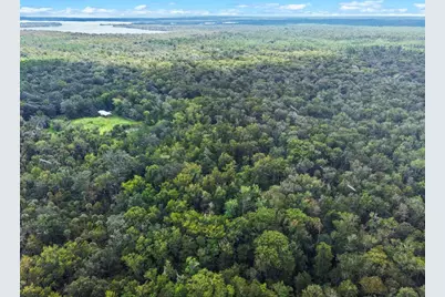 Nfs 73 / Alco Road, Astor, FL 32102 - Photo 16