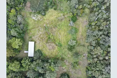 Nfs 73 / Alco Road, Astor, FL 32102 - Photo 6