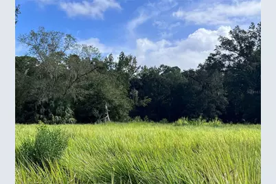 Nfs 73 / Alco Road, Astor, FL 32102 - Photo 38