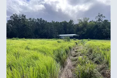 Nfs 73 / Alco Road, Astor, FL 32102 - Photo 42