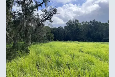 Nfs 73 / Alco Road, Astor, FL 32102 - Photo 44