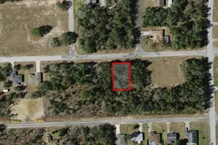 10241 N Halsey Way, Dunnellon, FL 34434 - Photo 1