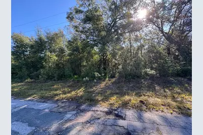 10241 N Halsey Way, Dunnellon, FL 34434 - Photo 4