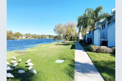 4127 Dolphin Drive #4127, Tampa, FL 33617 - Photo 14