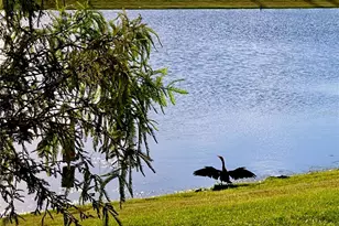 2469 Spring Tune Aly, Kissimmee, FL 34744 - Photo 8