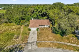 5237 Macadamia Ct, Orlando, FL 32818 - Photo 24