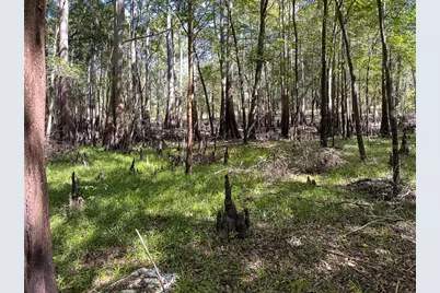 34095 Hyatt Rd, Dade City, FL 33523 - Photo 36