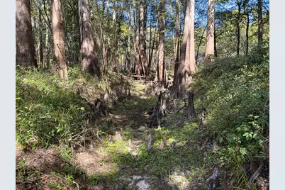 34095 Hyatt Rd, Dade City, FL 33523 - Photo 38