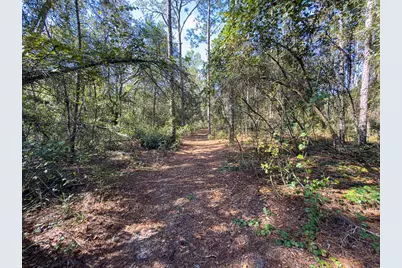 34095 Hyatt Rd, Dade City, FL 33523 - Photo 22