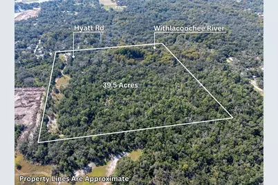 34095 Hyatt Rd, Dade City, FL 33523 - Photo 4