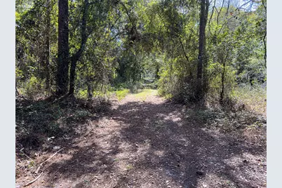 34095 Hyatt Rd, Dade City, FL 33523 - Photo 40