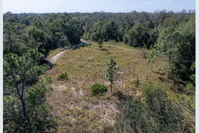 34095 Hyatt Rd, Dade City, FL 33523 - Photo 8