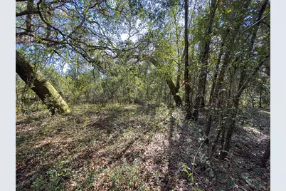 34095 Hyatt Rd, Dade City, FL 33523 - Photo 30
