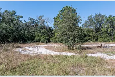 34095 Hyatt Rd, Dade City, FL 33523 - Photo 12