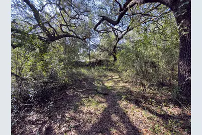 34095 Hyatt Rd, Dade City, FL 33523 - Photo 22