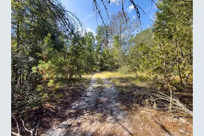 34095 Hyatt Rd, Dade City, FL 33523 - Photo 18
