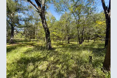 34095 Hyatt Rd, Dade City, FL 33523 - Photo 30