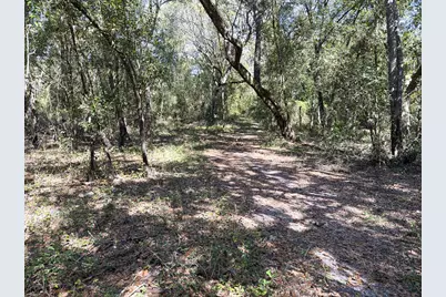 34095 Hyatt Rd, Dade City, FL 33523 - Photo 28