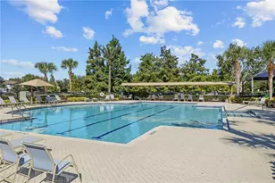 7224 Halton Ct, Windermere, FL 34786 - Photo 44