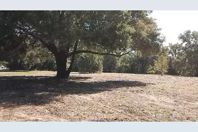 Keene Road, Umatilla, FL 32784 - Photo 6