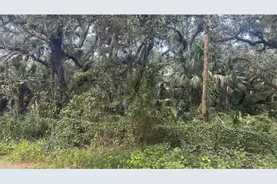 17875 NW 254th Street, Okeechobee, FL 34972 - Photo 2