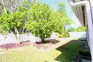 3625 Pompano Ct, Gotha, FL 34734 - Photo 24