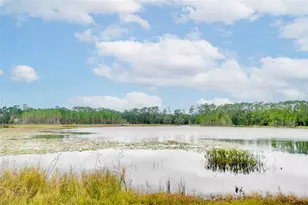 2912 Woodlands Park Ct, Lake Mary, FL 32746 - Photo 18