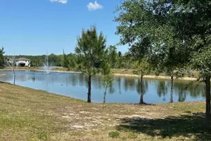 17249 Goldcrest Loop, Clermont, FL 34714 - Photo 22