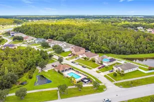 2665 Eagle Cliff Dr, Kissimmee, FL 34746 - Photo 58