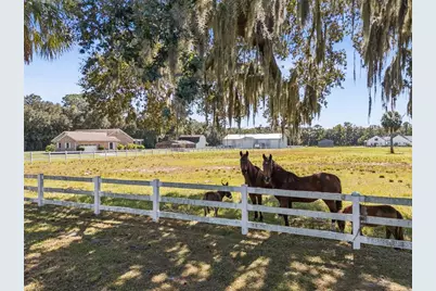 2425 Pine Way, Sanford, FL 32773 - Photo 24
