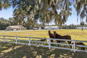 2425 Pine Way, Sanford, FL 32773 - Photo 24