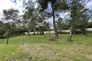 41719 Aspen Dr, Eustis, FL 32736 - Photo 14