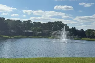 10484 Wiscane Ave, Orlando, FL 32836 - Photo 74