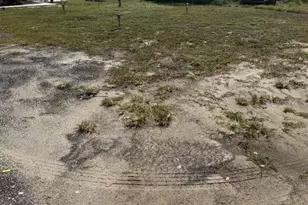 8455 A D Mims Rd, Orlando, FL 32818 - Photo 6