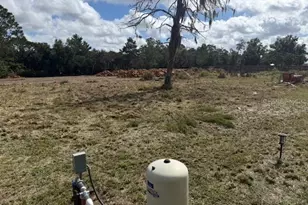 8455 A D Mims Rd, Orlando, FL 32818 - Photo 4