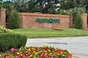 14808 Pond Pine Ln, Clermont, FL 34711 - Photo 56