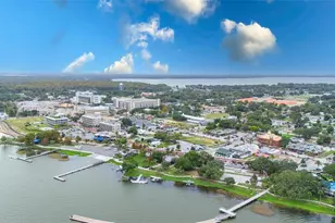 214 N New Hampshire Ave, Tavares, FL 32778 - Photo 2