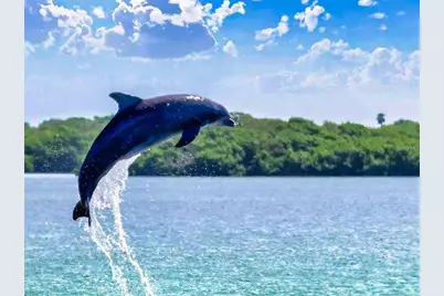 438 Bouchelle Drive #105, New Smyrna Beach, FL 32169 - Photo 34