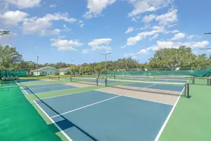 2250 Chase Ct, Mount Dora, FL 32757 - Photo 22