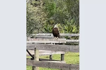 620 Willow Pond Lane, Osteen, FL 32764 - Photo 92