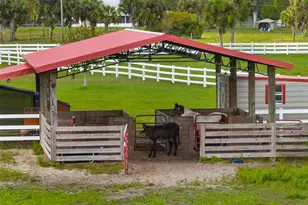 620 Willow Pond Ln, Osteen, FL 32764 - Photo 64