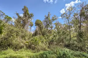 8344 Riverdale Ln, Davenport, FL 33896 - Photo 54