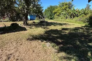 702 W Hillsboro St, Plant City, FL 33563 - Photo 28