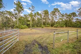 1045 S State Road 415, New Smyrna Beach, FL 32168 - Photo 30