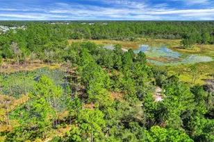 1530 Scrub Jay Ct, Deland, FL 32724 - Photo 6